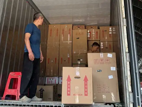 Boxes of plants loaded inside a shipping container