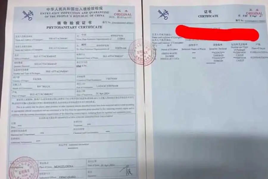 Plant export certificate pages from the previous company website