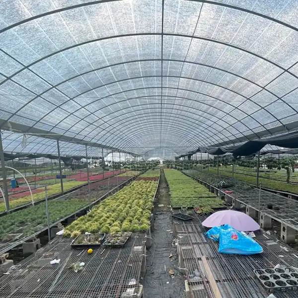 Long greenhouse rows containing assorted potted plants
